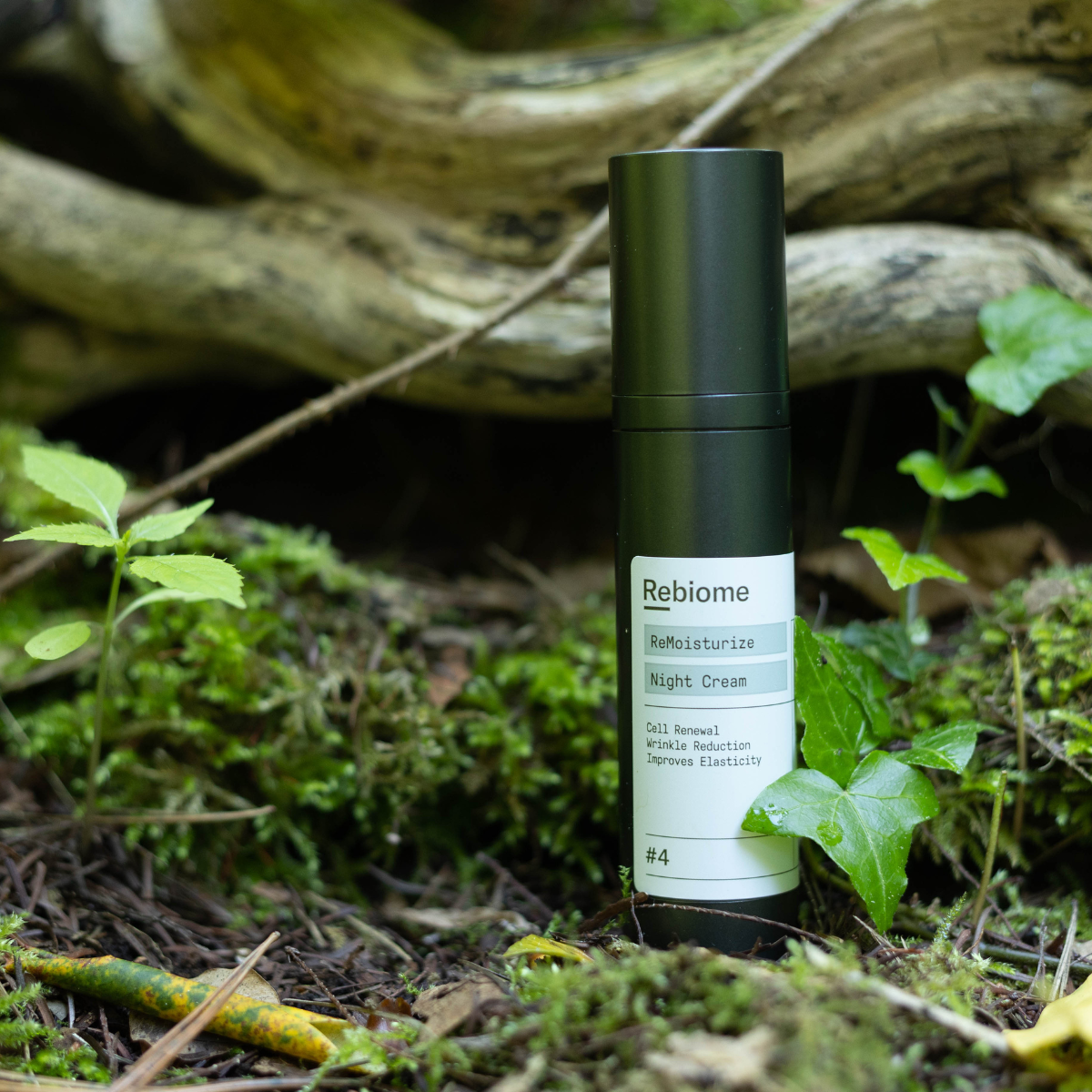 ReMoisturize Rich Cream
