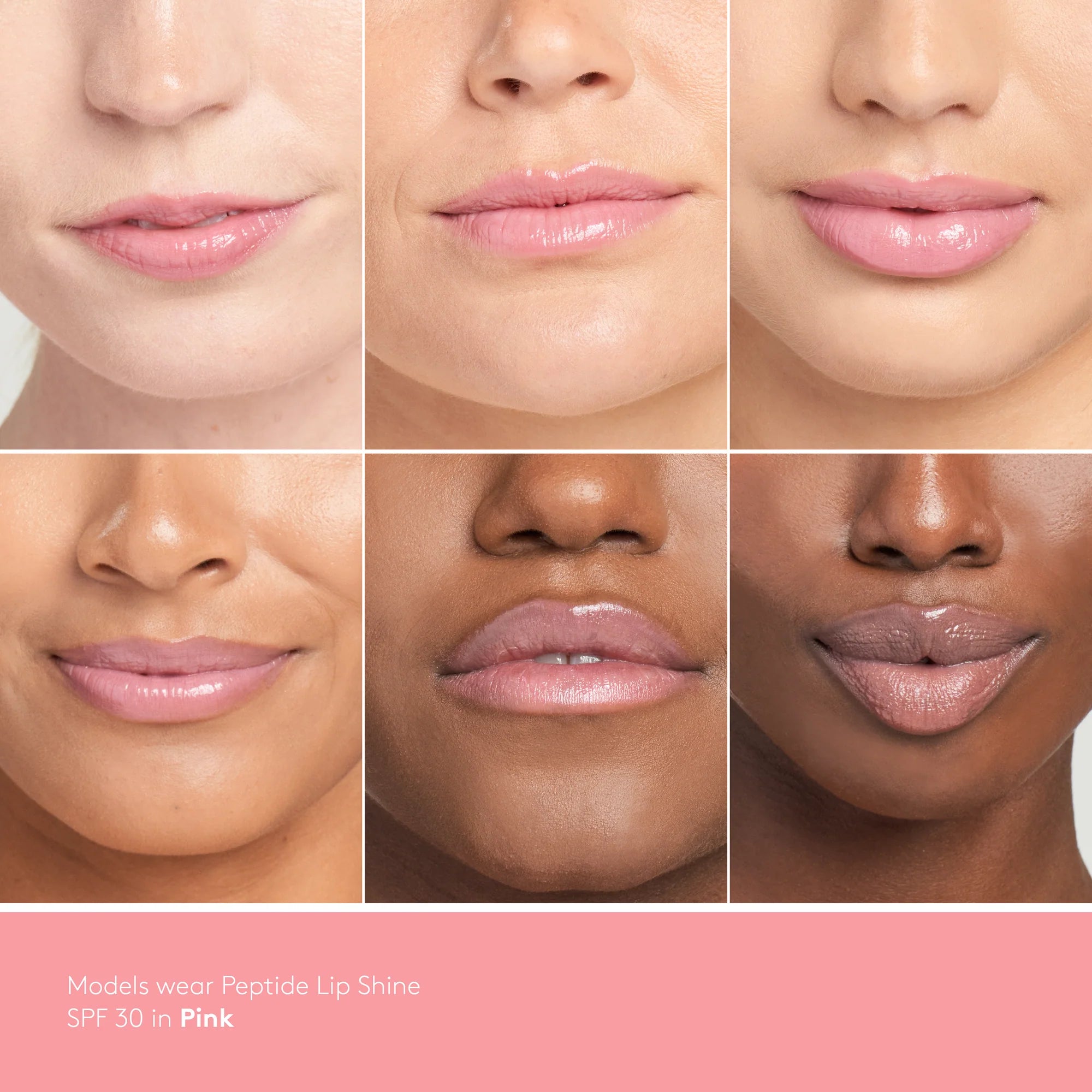 The Perfect Lip Bundle