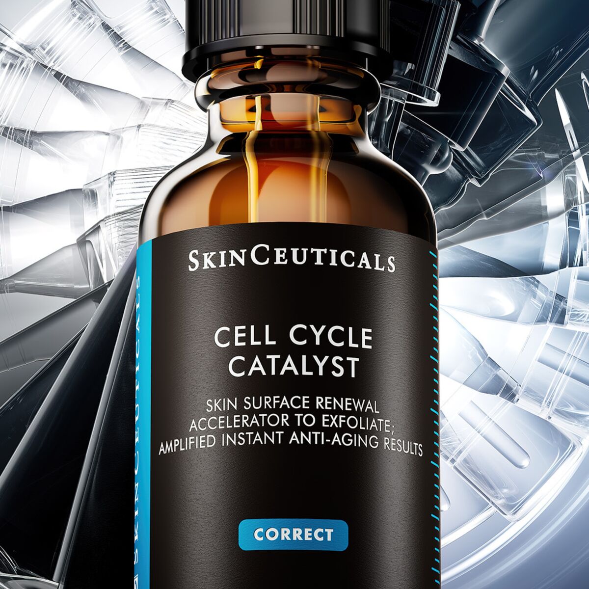 Cell Cycle Catalyst